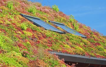 Tilstock living roof systems